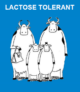 Lactose Tolerant